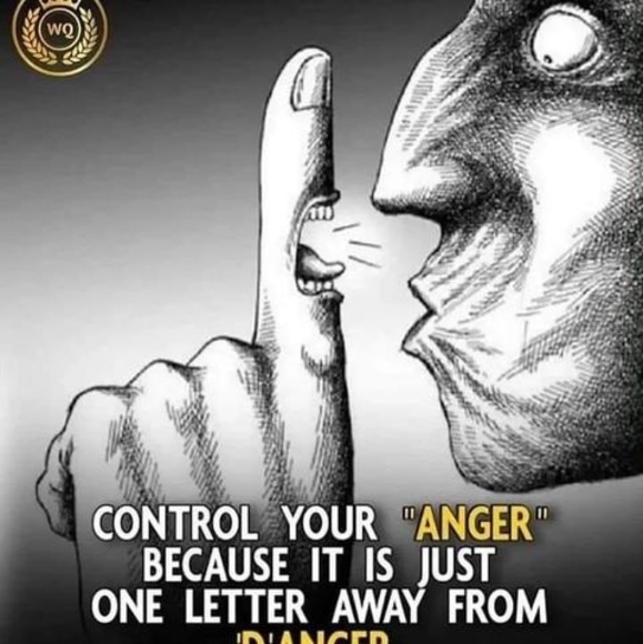 Meet your Posher, Matt - Picture 1 of 1